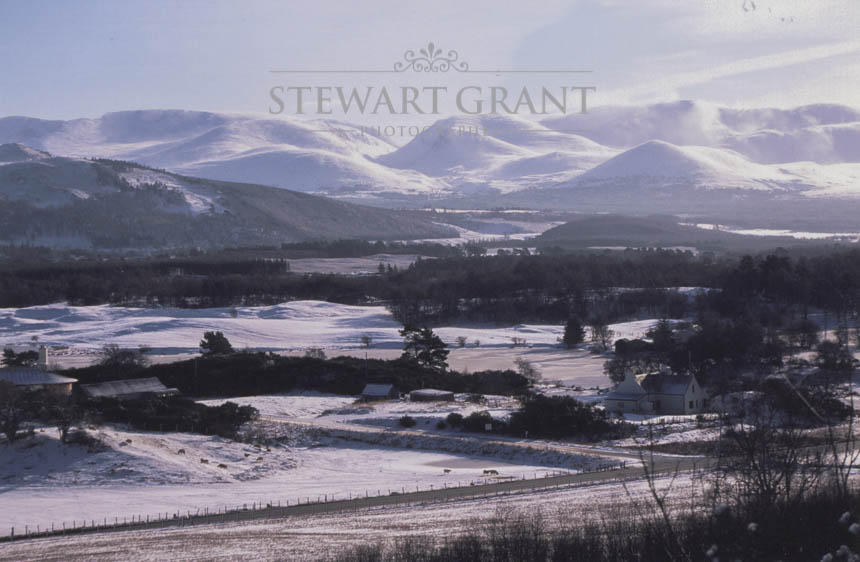 Rural and Urban Landscapes