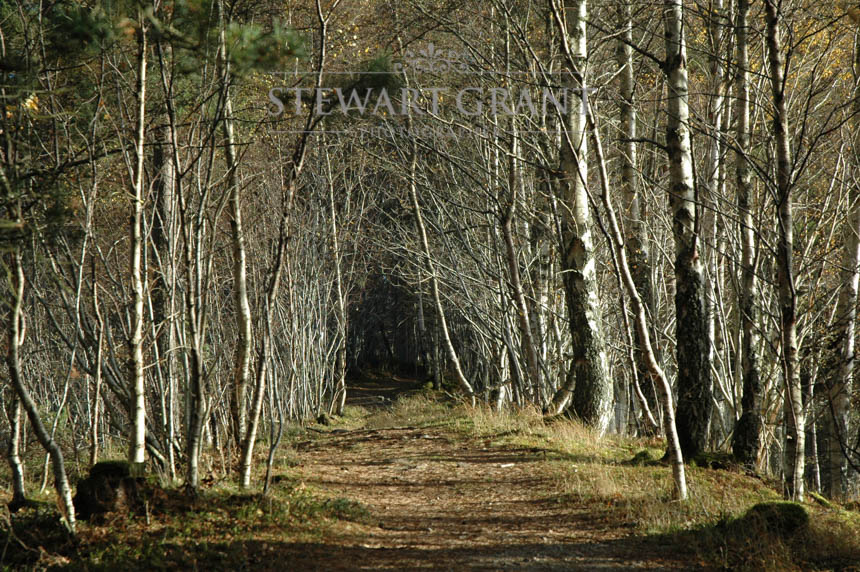 Rural and Urban Landscapes